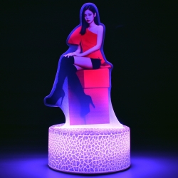 BLACK PINK Color Acrylic Night...