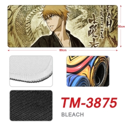 Bleach Anime peripheral new lo...