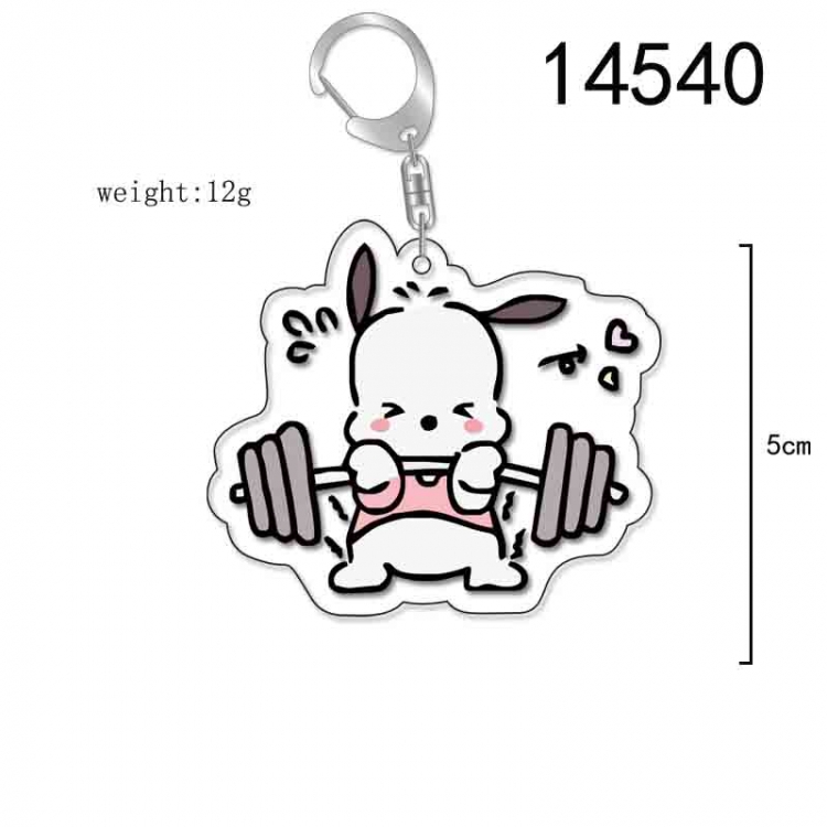 Pochacco  Anime Acrylic Keychain Charm price for 5 pcs 14540