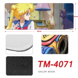 sailormoon Anime peripheral ne...