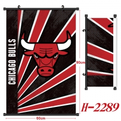 NBA Black Plastic Rod Canvas P...