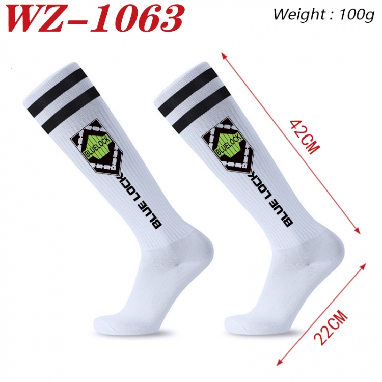 BLUE LOCK Embroidered sports football socks Knitted wool socks 42x22cm WZ-1063