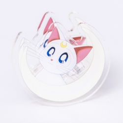 sailormoon Cartoon acrylic boo...