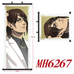 Shingeki no Kyojin Anime black...