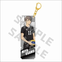 Haikyuu!!  Anime surrounding s...