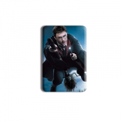 Harry Potter Anime square tinp...