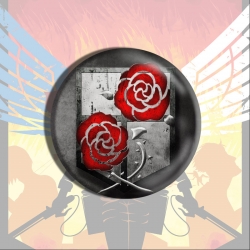 Shingeki no Kyojin Anime tinpl...