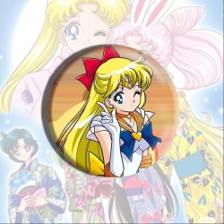 sailormoon Anime tinplate broo...