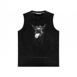 Doberman Anime peripheral wash...