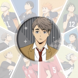 Haikyuu!! Anime tinplate brooc...