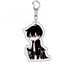 Solo Leveling:Arise Anime Acry...