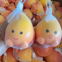 Hauru no ugoku shiro EVA slow ...