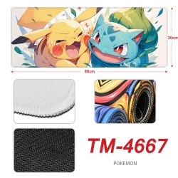 Pokemon Anime peripheral lock ...