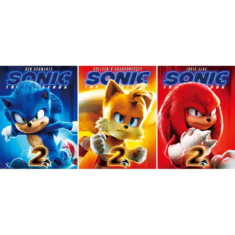 Sonic The Hedgehog 3D anime gradient 3D painting decoration poster 41x31cm