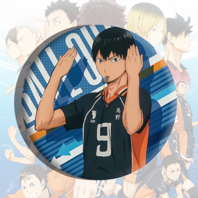 Haikyuu!! Anime tinplate brooch badge price for 5 pcs