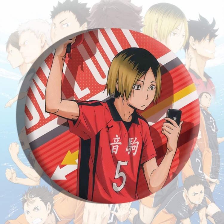 Haikyuu!! Anime tinplate brooch badge price for 5 pcs