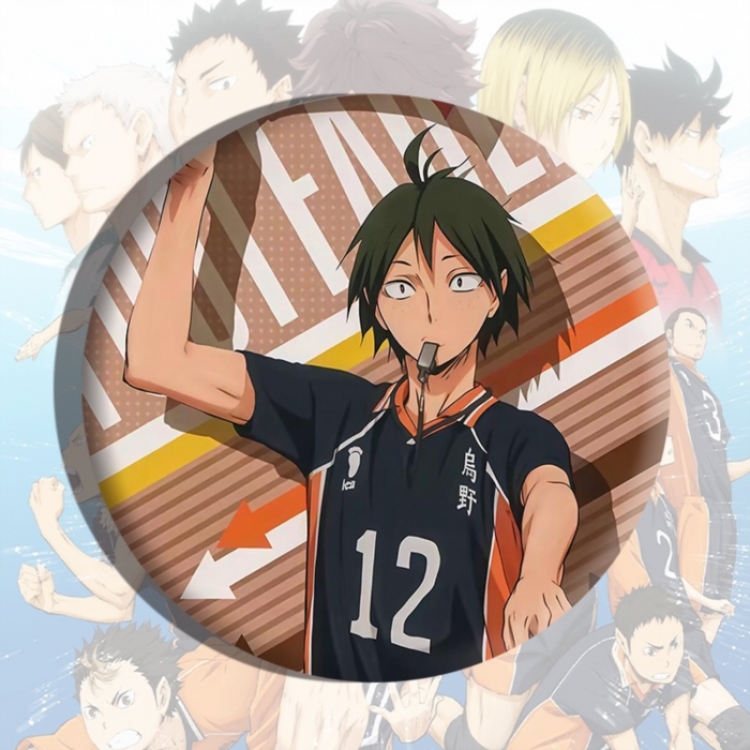 Haikyuu!! Anime tinplate brooch badge price for 5 pcs