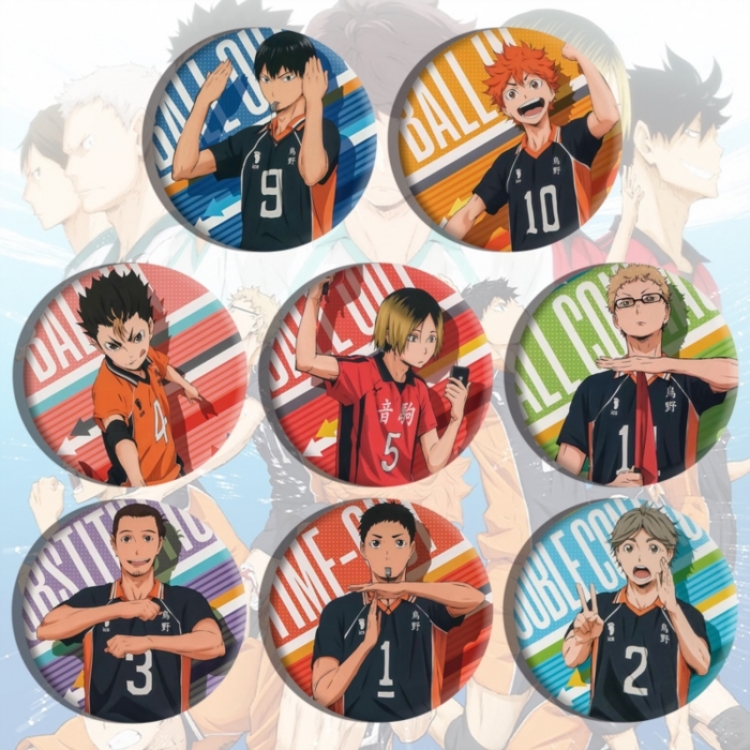 Haikyuu!! Anime tinplate brooch badge a set of 8