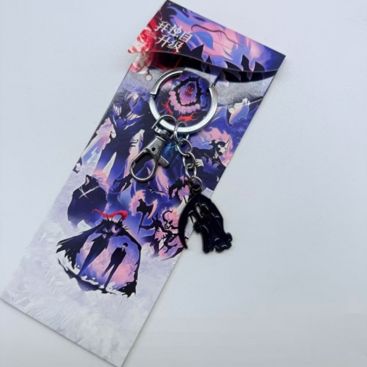 Solo Leveling:Arise  Anime Character metal keychain price for 5 pcs