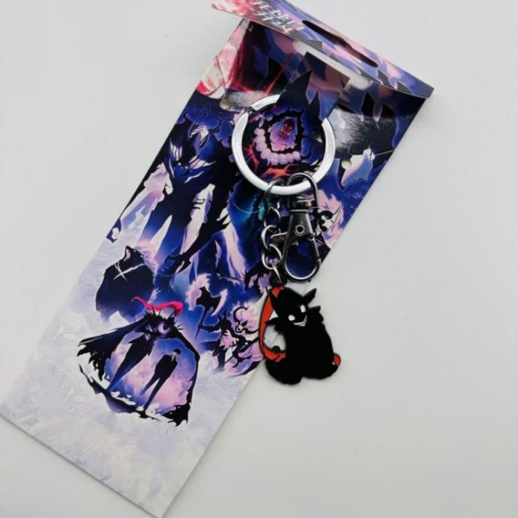 Solo Leveling:Arise  Anime Character metal keychain price for 5 pcs