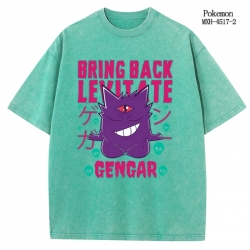 Pokemon Anime peripheral pure ...