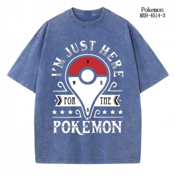 Pokemon Anime peripheral pure ...