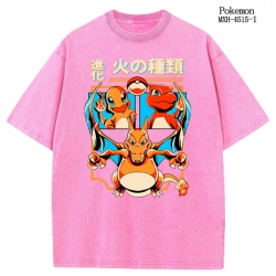 Pokemon Anime peripheral pure ...