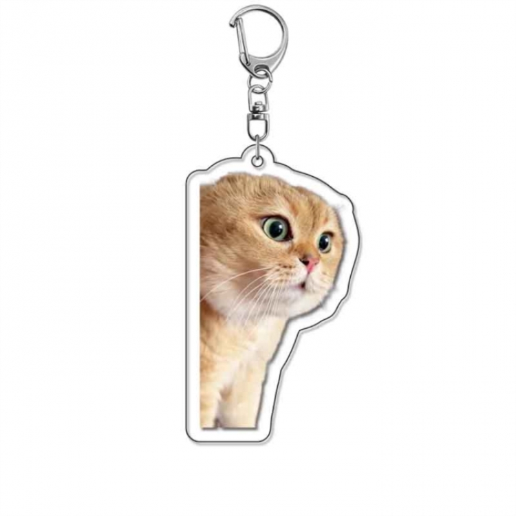 Cute Cat Emoji Anime Acrylic Keychain Charm price for 5 pcs
