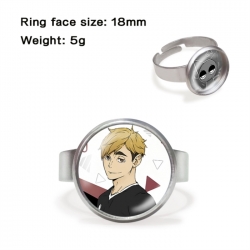 Haikyuu!! Anime peripheral gem...