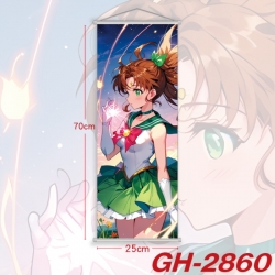 sailormoon Plastic Rod Cloth S...