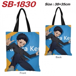 Dandadan Anime Canvas Handheld...