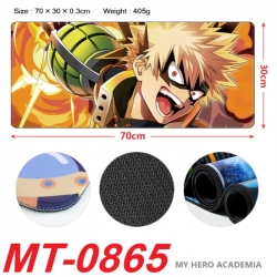 My Hero Academia Anime periphe...