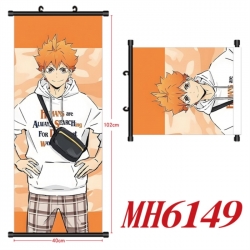 Haikyuu!! Anime black Plastic ...