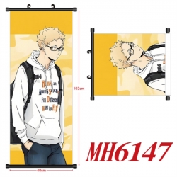 Haikyuu!! Anime black Plastic ...