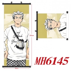 Haikyuu!! Anime black Plastic ...