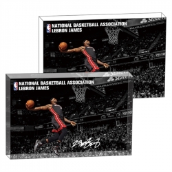 James Anime game acrylic card ...