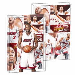 Wade Anime game acrylic card b...