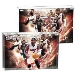 Wade Anime game acrylic card b...