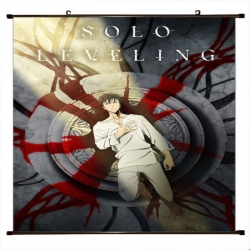 Solo Leveling:Arise Anime blac...