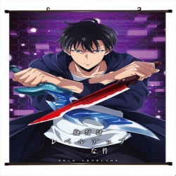 Solo Leveling:Arise Anime blac...