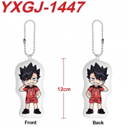 Haikyuu!! Anime full-color pri...