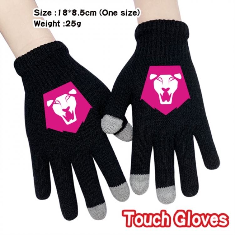 K-Pop:Demon Hunters Anime touch screen knitting all finger gloves 18X8.5CM