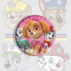 PAW Patrol Anime tinplate broo...