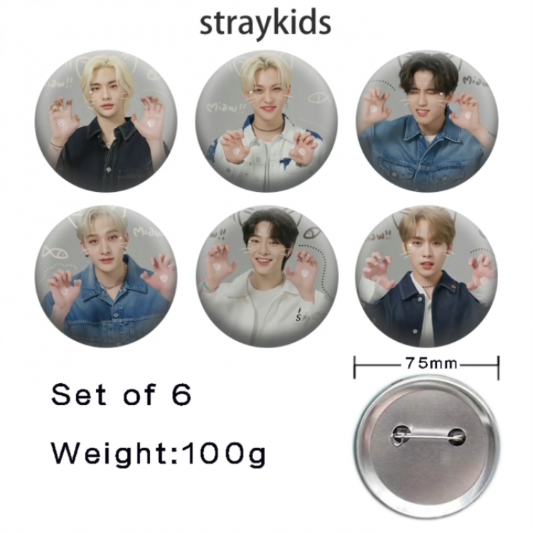 straykids Anime Tinplate Bright Film Emblem Badge 75mm a set of 6