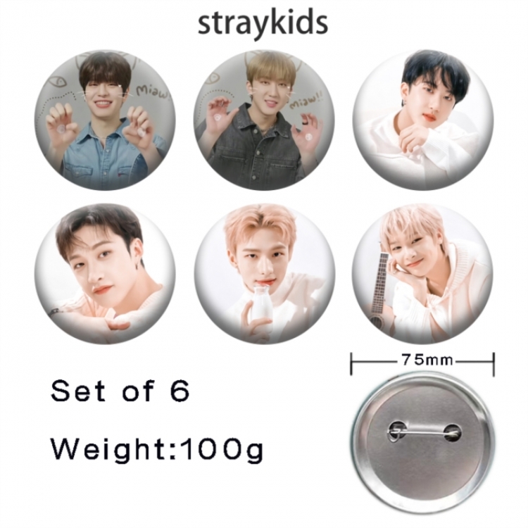 straykids Anime Tinplate Bright Film Emblem Badge 75mm a set of 6