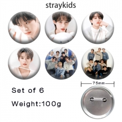 straykids Anime Tinplate Brigh...