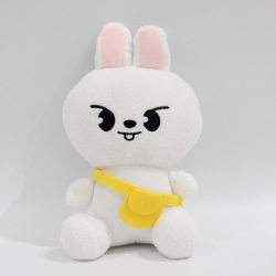 SKZOO Woolen material+PP cotto...