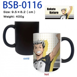 Haikyuu!! Anime peripherals co...